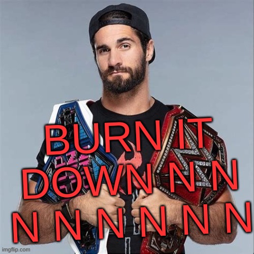 Cool seth rollins | BURN IT DOWN N N N N N N N N | image tagged in cool seth rollins | made w/ Imgflip meme maker