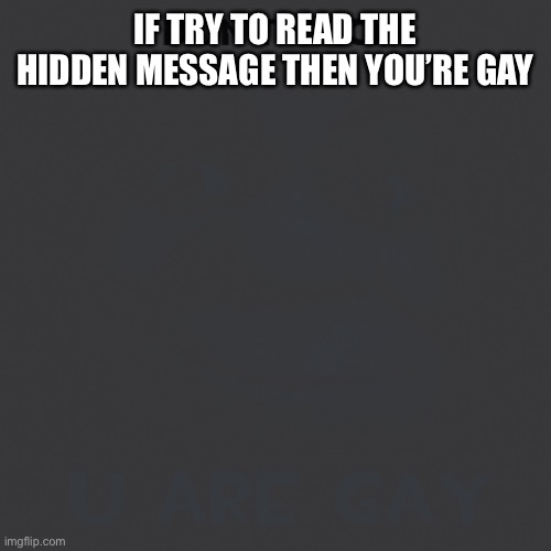 IF TRY TO READ THE HIDDEN MESSAGE THEN YOU’RE GAY | made w/ Imgflip meme maker