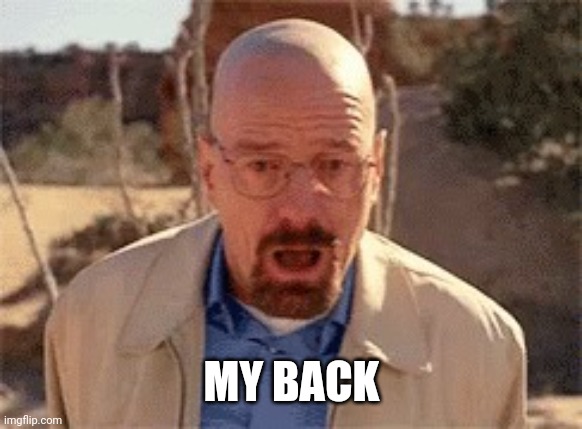 Walter White | MY BACK | image tagged in walter white | made w/ Imgflip meme maker