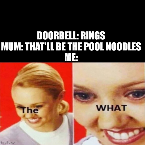 POOL NOODLES?!?!?! | DOORBELL: RINGS

MUM: THAT'LL BE THE POOL NOODLES

ME: | image tagged in the what | made w/ Imgflip meme maker