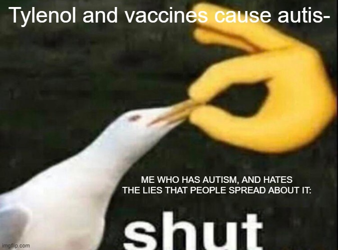 Seriously, I find it offensive |  Tylenol and vaccines cause autis-; ME WHO HAS AUTISM, AND HATES THE LIES THAT PEOPLE SPREAD ABOUT IT: | image tagged in shut,misinformation,antivax,autism | made w/ Imgflip meme maker