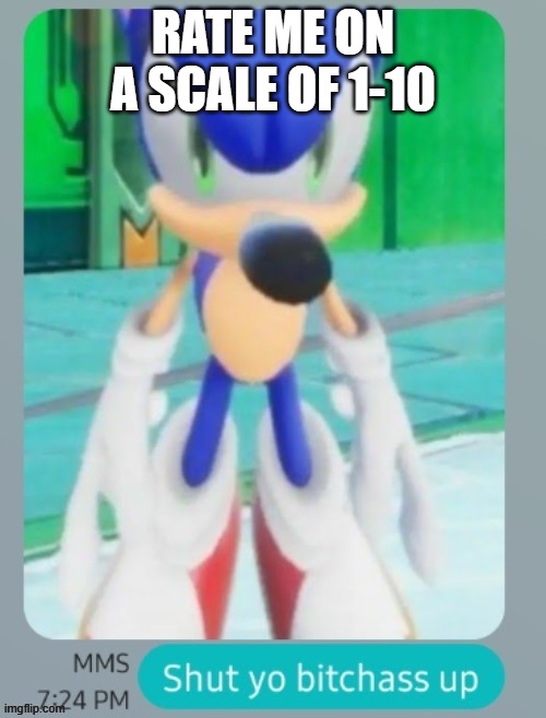 goofy ahh hedgehog | RATE ME ON A SCALE OF 1-10 | image tagged in goofy ahh hedgehog | made w/ Imgflip meme maker