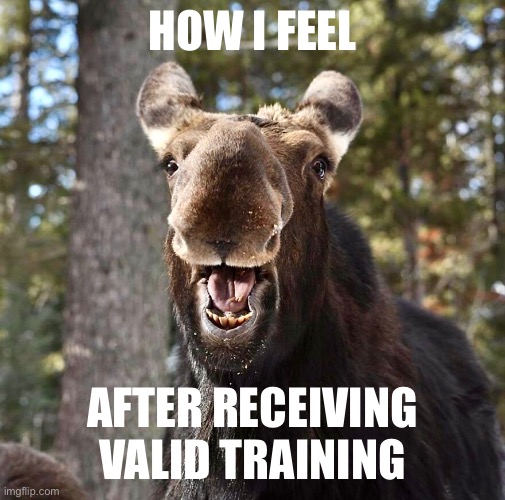 Valid training | HOW I FEEL; AFTER RECEIVING VALID TRAINING | image tagged in happy moose | made w/ Imgflip meme maker