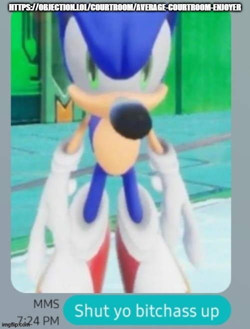 goofy ahh hedgehog | HTTPS://OBJECTION.LOL/COURTROOM/AVERAGE-COURTROOM-ENJOYER | image tagged in goofy ahh hedgehog | made w/ Imgflip meme maker