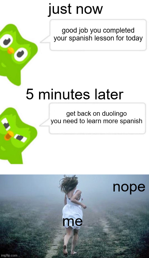 just now; good job you completed your spanish lesson for today; 5 minutes later; get back on duolingo you need to learn more spanish; nope; me | image tagged in angry duolingo owl | made w/ Imgflip meme maker