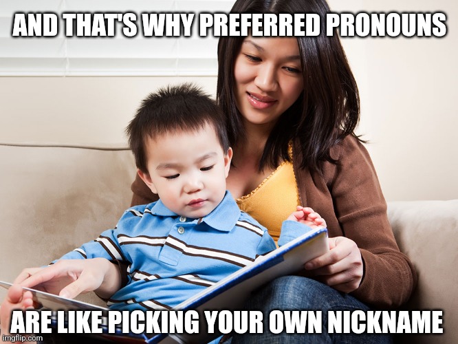 AND THAT'S WHY PREFERRED PRONOUNS; ARE LIKE PICKING YOUR OWN NICKNAME | image tagged in funny memes | made w/ Imgflip meme maker