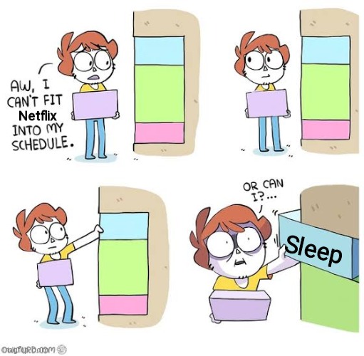 Schedule meme | Netflix Sleep | image tagged in schedule meme | made w/ Imgflip meme maker