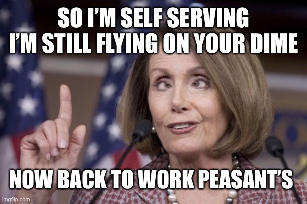 I’m self serving | SO I’M SELF SERVING I’M STILL FLYING ON YOUR DIME; NOW BACK TO WORK PEASANT’S | image tagged in nancy pelosi | made w/ Imgflip meme maker