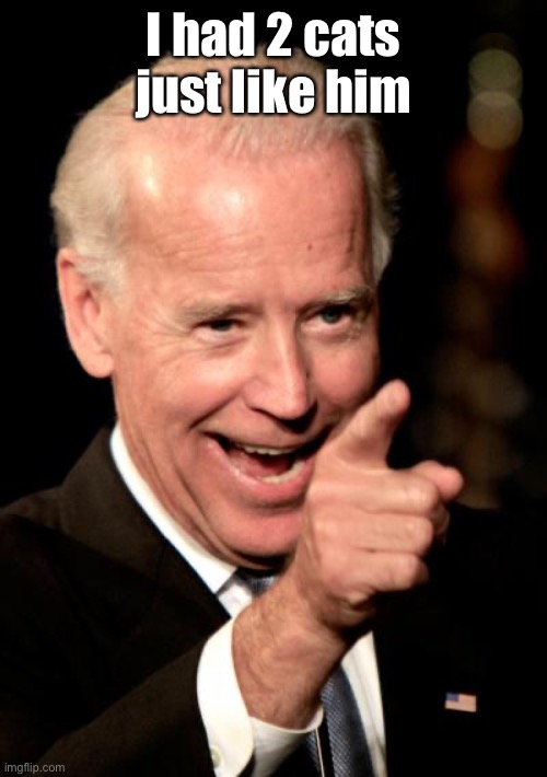 Smilin Biden Meme | I had 2 cats just like him | image tagged in memes,smilin biden | made w/ Imgflip meme maker