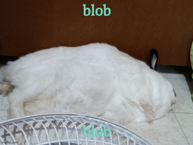 a | blob; blob | image tagged in oj is dead | made w/ Imgflip meme maker