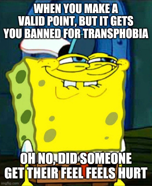 Pretty sure the mod is trans, because thats the only flag they take seriously | WHEN YOU MAKE A VALID POINT, BUT IT GETS YOU BANNED FOR TRANSPHOBIA; OH NO, DID SOMEONE GET THEIR FEEL FEELS HURT | image tagged in spongebob smile | made w/ Imgflip meme maker