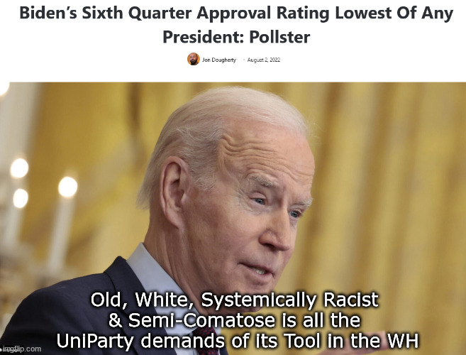 UniParty demands are Awesome! | Old, White, Systemically Racist 
& Semi-Comatose is all the 
UniParty demands of its Tool in the WH | image tagged in memes,politics | made w/ Imgflip meme maker