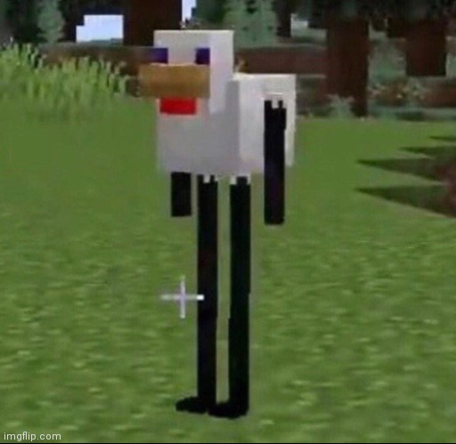 1 year old lol | image tagged in cursed minecraft chicken | made w/ Imgflip meme maker