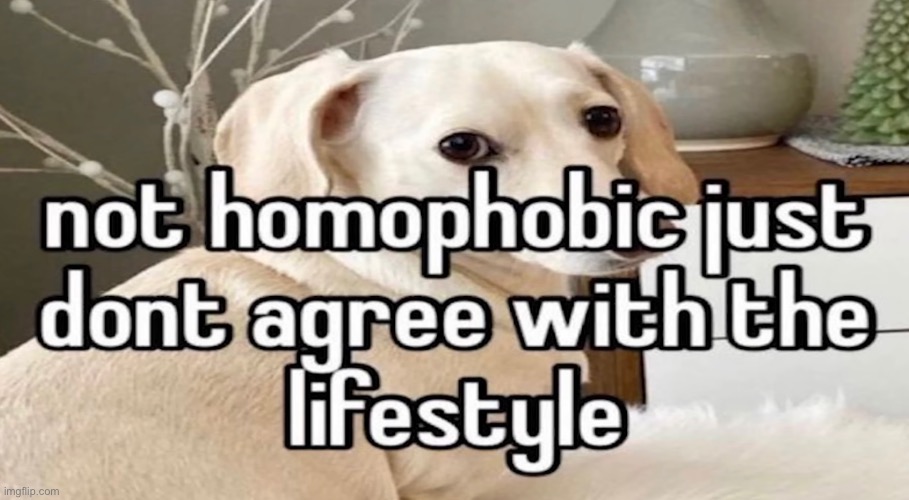 My beloved homophobic dog | made w/ Imgflip meme maker