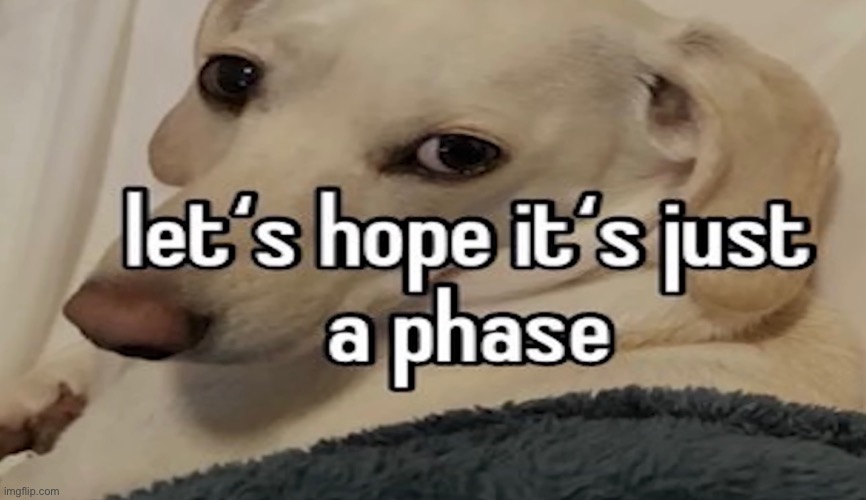 Homophobic dog 4 life | made w/ Imgflip meme maker