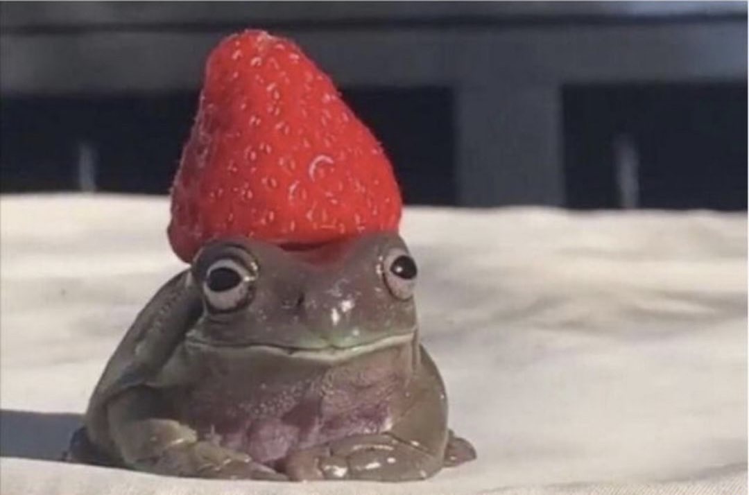 Raspberry Frog 2 Blank Meme Template