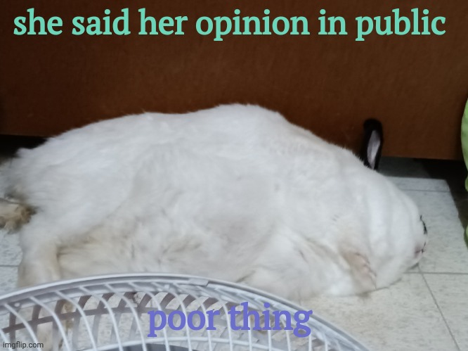 oj is dead | she said her opinion in public; poor thing | image tagged in oj is dead | made w/ Imgflip meme maker