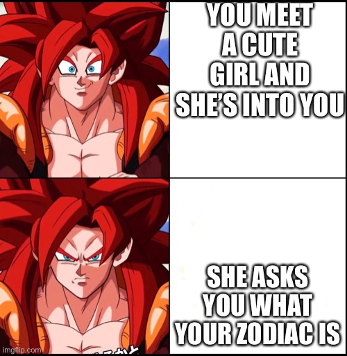 Lmao gogeta go soul punisher | YOU MEET A CUTE GIRL AND SHE’S INTO YOU; SHE ASKS YOU WHAT YOUR ZODIAC IS | image tagged in angry gogeta | made w/ Imgflip meme maker