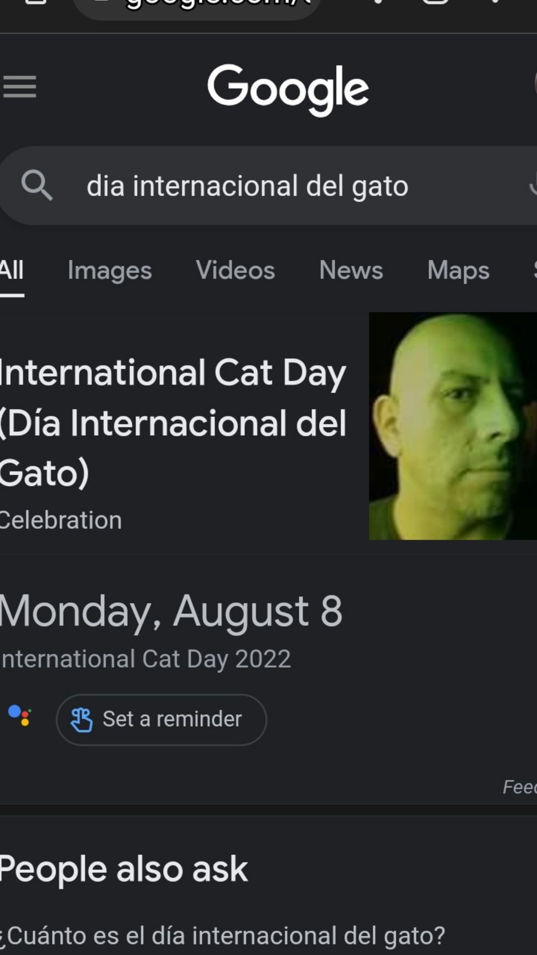 High Quality Día internacional del gato Blank Meme Template