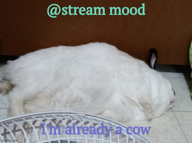 oj is dead | @stream mood; I'm already a cow | image tagged in oj is dead | made w/ Imgflip meme maker