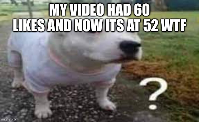 Question mark dog | MY VIDEO HAD 60 LIKES AND NOW ITS AT 52 WTF | image tagged in question mark dog | made w/ Imgflip meme maker