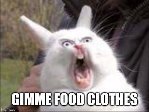 Hungry Rabbit | GIMME FOOD CLOTHES | image tagged in hungry rabbit | made w/ Imgflip meme maker