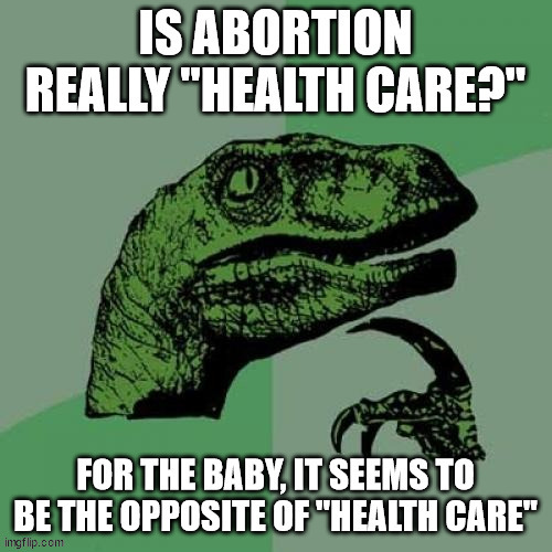 Is abortion "health care" for the baby?  I don't think it is. | image tagged in abortion,healthcare,sleepy joe | made w/ Imgflip meme maker