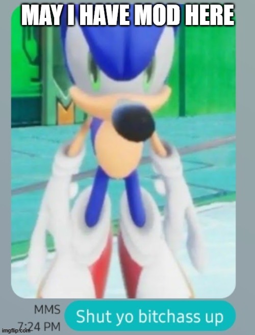 goofy ahh hedgehog | MAY I HAVE MOD HERE | image tagged in goofy ahh hedgehog | made w/ Imgflip meme maker