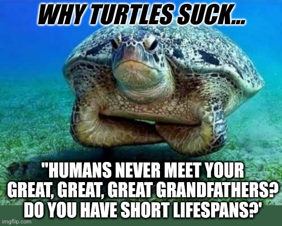 There are animals roaming this planet who were born when Abe Lincoln was a kid.... I hate those animals |  WHY TURTLES SUCK... "HUMANS NEVER MEET YOUR GREAT, GREAT, GREAT GRANDFATHERS? DO YOU HAVE SHORT LIFESPANS?' | image tagged in disappointed sea turtle,aging,immortal,parents | made w/ Imgflip meme maker