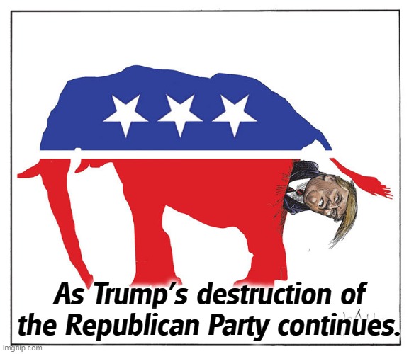 At the top of the roller coaster, there's no other way but down. | As Trump's destruction of the Republican Party continues. | image tagged in trump,republican party,roller coaster,destruction | made w/ Imgflip meme maker