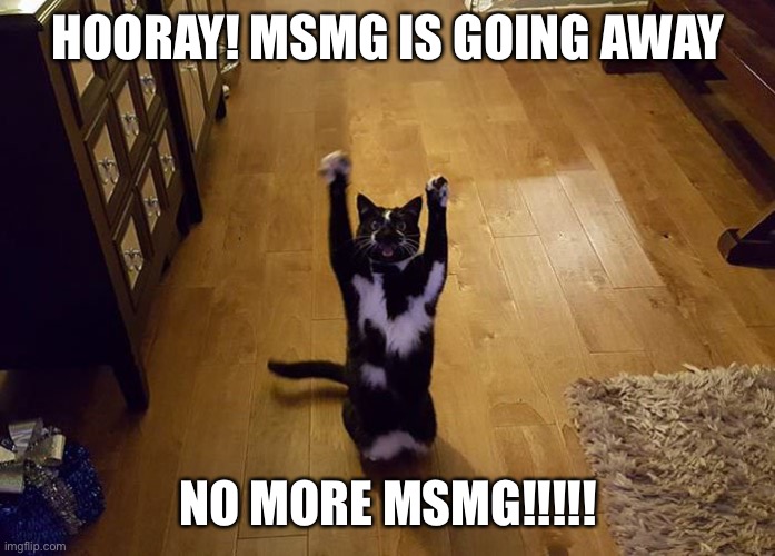 Yipeee cat | HOORAY! MSMG IS GOING AWAY; NO MORE MSMG!!!!! | image tagged in yipeee cat | made w/ Imgflip meme maker