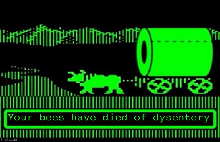 You have died of coronavirus | Your bees have died of dysentery | image tagged in you have died of coronavirus | made w/ Imgflip meme maker