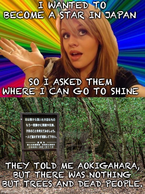 Shine, baka, shine | I WANTED TO BECOME A STAR IN JAPAN; SO I ASKED THEM WHERE I CAN GO TO SHINE; THEY TOLD ME AOKIGAHARA, BUT THERE WAS NOTHING BUT TREES AND DEAD PEOPLE. | image tagged in memes,dumb blonde | made w/ Imgflip meme maker