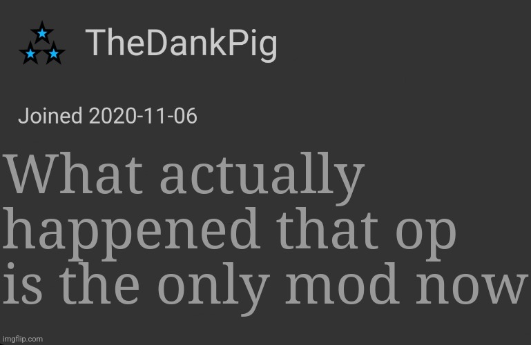 TheDankPig minimalist temp | What actually happened that op is the only mod now | image tagged in thedankpig minimalist temp | made w/ Imgflip meme maker