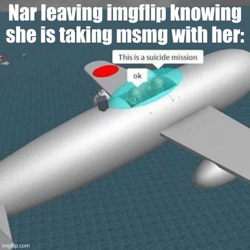 suicide mission | Nar leaving imgflip knowing she is taking msmg with her: | image tagged in suicide mission | made w/ Imgflip meme maker