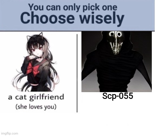 Choose wisely | Scp-055 | image tagged in choose wisely | made w/ Imgflip meme maker