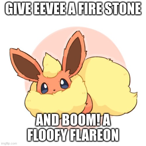 flareon | GIVE EEVEE A FIRE STONE; AND BOOM! A FLOOFY FLAREON | image tagged in too much floof | made w/ Imgflip meme maker