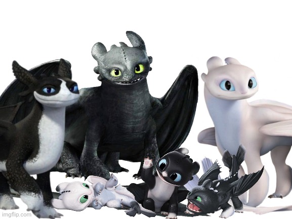 Just an image of the Night Fury, Light Fury, and Night Lights | image tagged in httyd,how to train your dragon,night fury,toothless,dragon | made w/ Imgflip meme maker