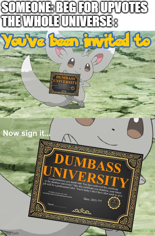 You've been invited to dumbass university | SOMEONE: BEG FOR UPVOTES 
THE WHOLE UNIVERSE : | image tagged in you've been invited to dumbass university | made w/ Imgflip meme maker