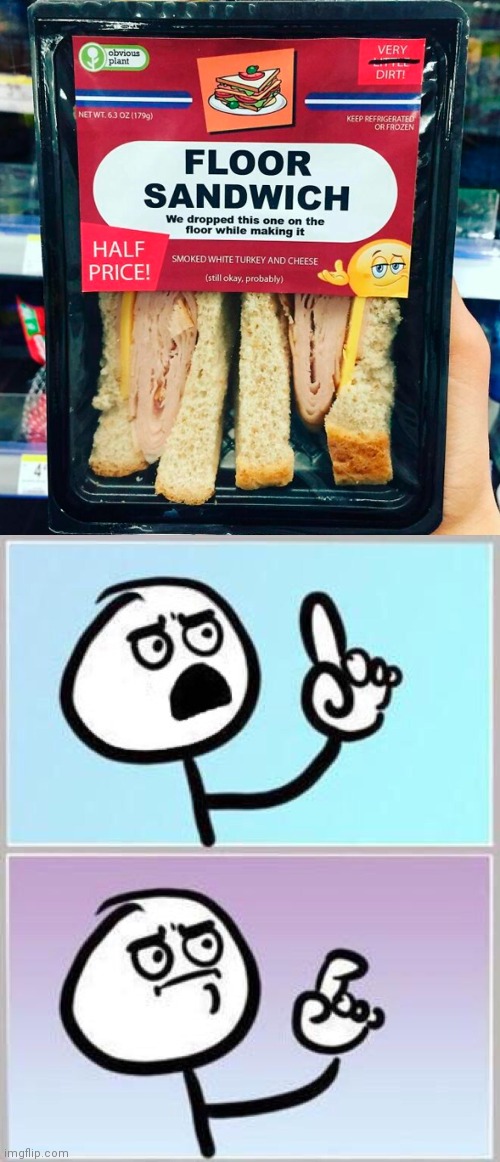 Floor sandwich | image tagged in wait what,floor,sandwich,memes,fake products,fake product | made w/ Imgflip meme maker
