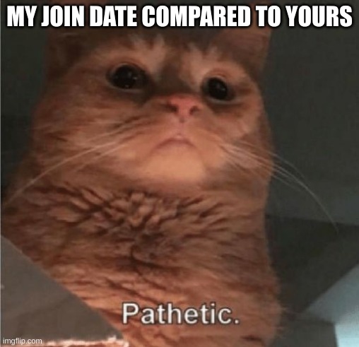 Pathetic Cat | MY JOIN DATE COMPARED TO YOURS | image tagged in pathetic cat | made w/ Imgflip meme maker