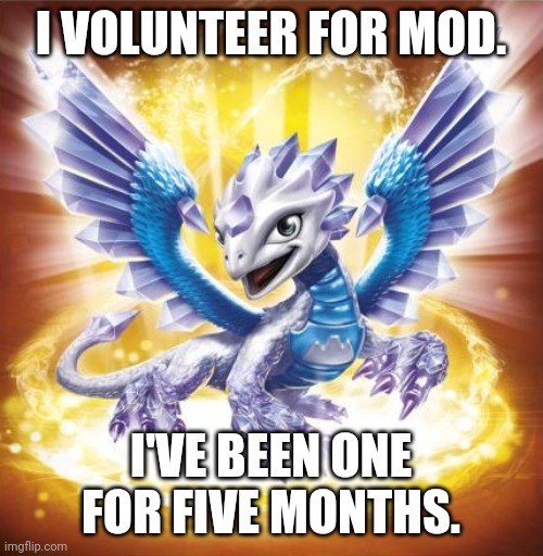 Skylanders Flashwing | I VOLUNTEER FOR MOD. I'VE BEEN ONE FOR FIVE MONTHS. | image tagged in skylanders flashwing | made w/ Imgflip meme maker