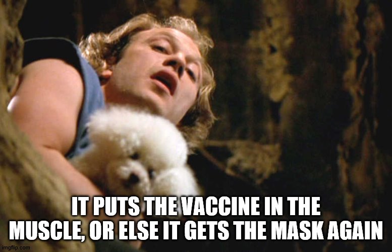 It puts the lotion on its skin | IT PUTS THE VACCINE IN THE MUSCLE, OR ELSE IT GETS THE MASK AGAIN | image tagged in it puts the lotion on its skin | made w/ Imgflip meme maker
