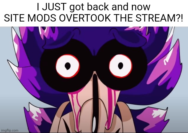 I was gone for like, 2 hours?! | I JUST got back and now SITE MODS OVERTOOK THE STREAM?! | image tagged in spunch bop xenophanes | made w/ Imgflip meme maker