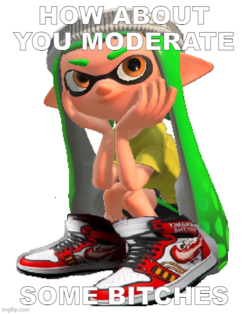 Inkling with the drip | HOW ABOUT YOU MODERATE; SOME BITCHES | image tagged in inkling with the drip | made w/ Imgflip meme maker