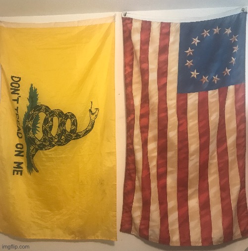 My flags | image tagged in memes | made w/ Imgflip meme maker