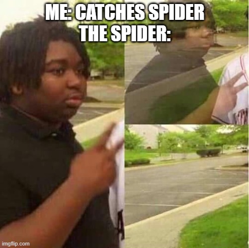 disappearing  | ME: CATCHES SPIDER
THE SPIDER: | image tagged in disappearing | made w/ Imgflip meme maker