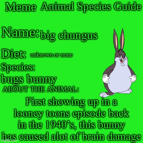 Meme Animal Species Guide | big chungus; unknown or none; bugs bunny; First showing up in a looney toons episode back in the 1940’s, this bunny has caused alot of brain damage | image tagged in meme animal species guide | made w/ Imgflip meme maker