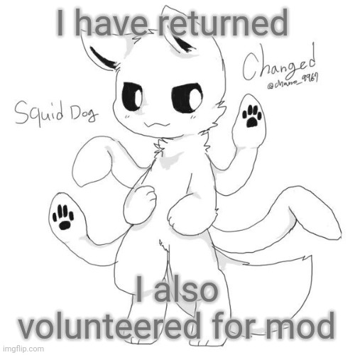 I had mod for 1 day and it got removed I forgot what happened though | I have returned; I also volunteered for mod | image tagged in squid dog | made w/ Imgflip meme maker