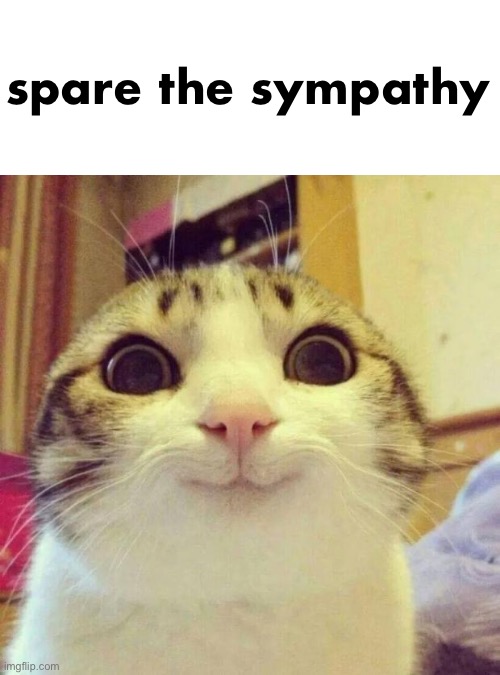 Smiling Cat Meme | spare the sympathy | image tagged in memes,smiling cat | made w/ Imgflip meme maker